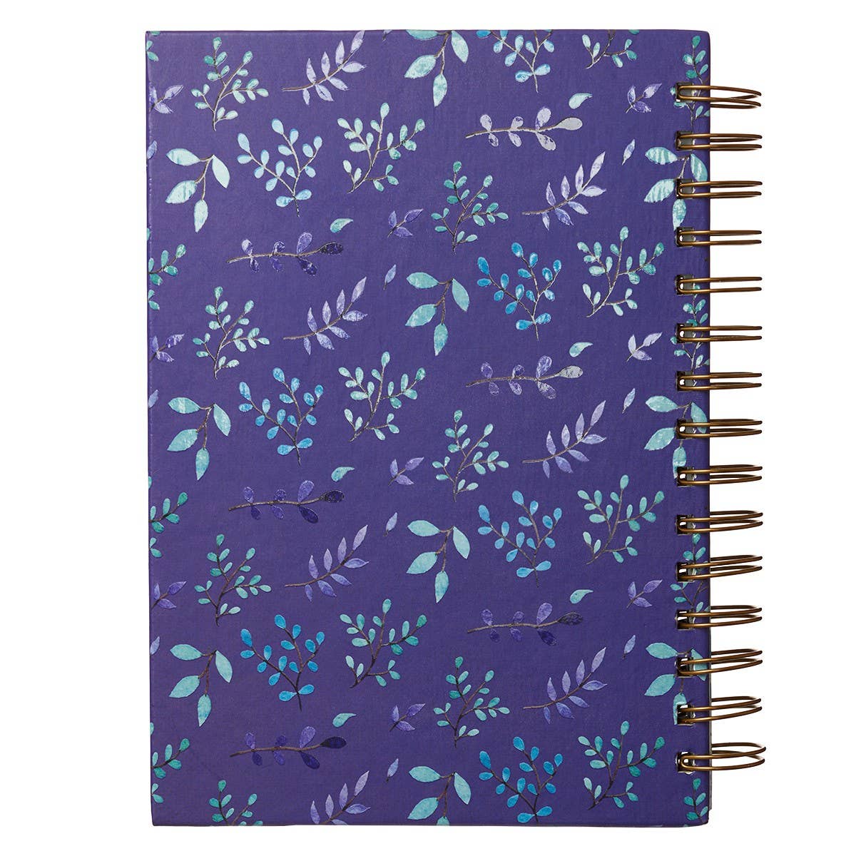 I Can Do All This Large Wirebound Hardcover Journal - Philip